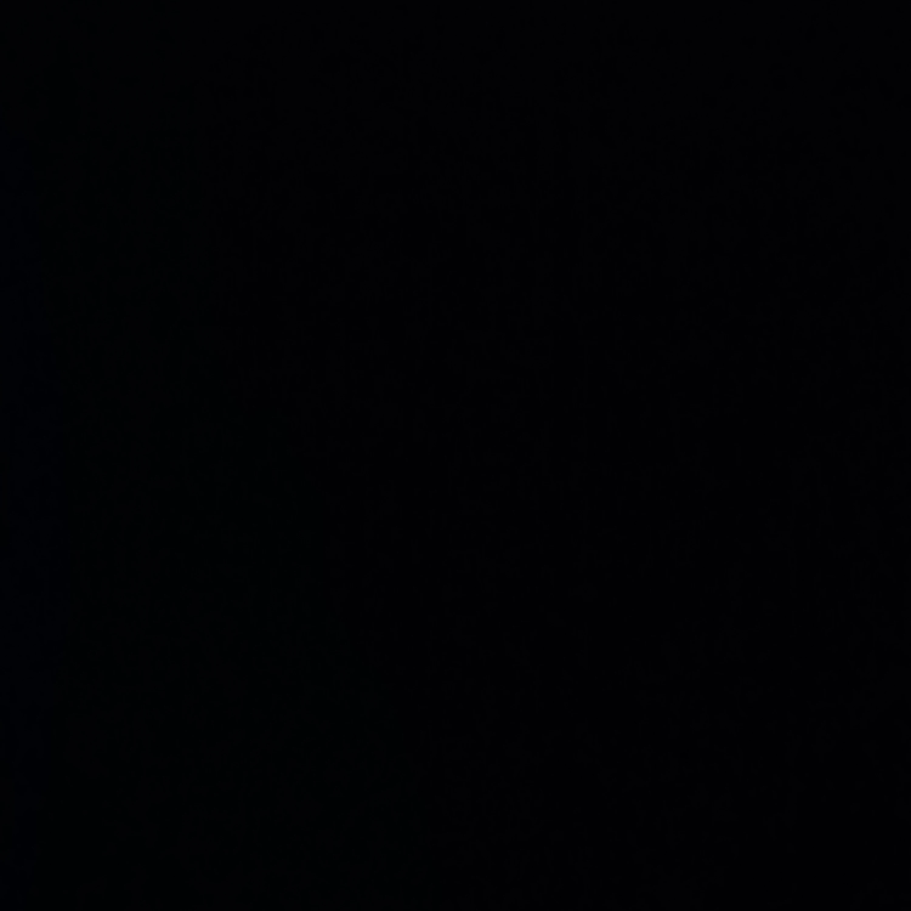 신정환
