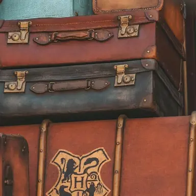 Profile image of ハーマイオニー