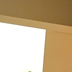 일진