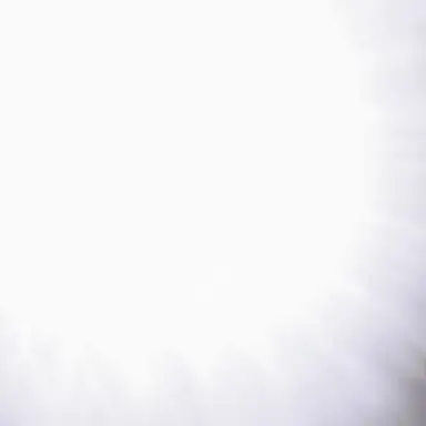 Profile image of 나토리