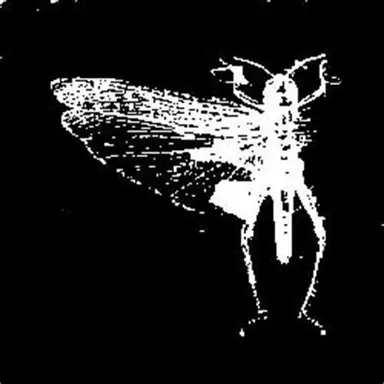 Profile image of G