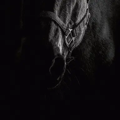 Profile image of 프레잉 위드 앵거