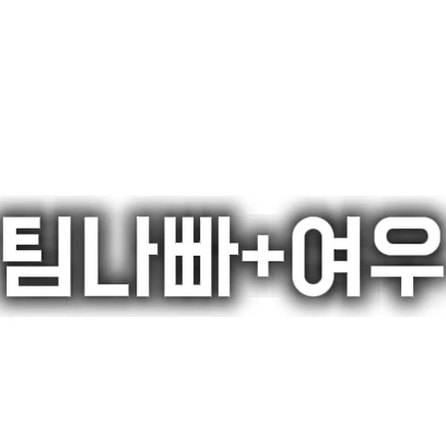팀나빠-여우