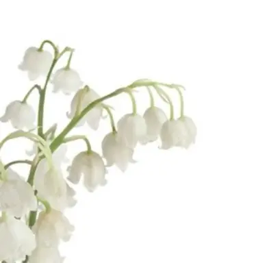 Profile image of 아카기 미치나리