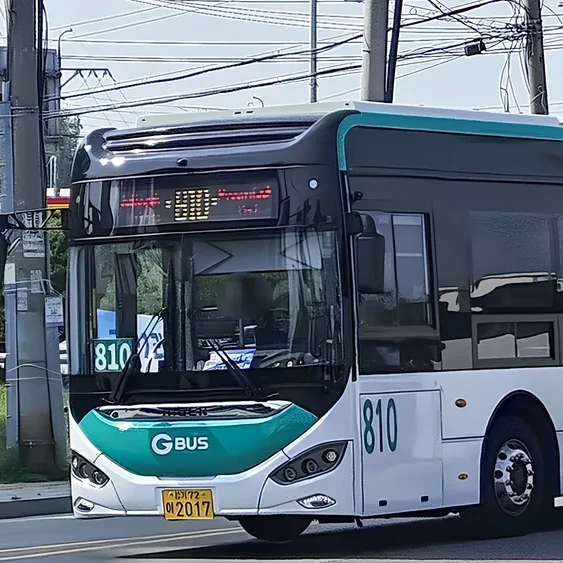 810번버스