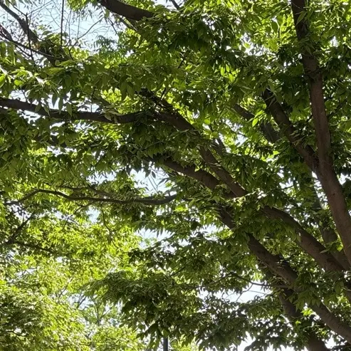 LinearCar7019의 착한데다가 공부 잘하는 얘