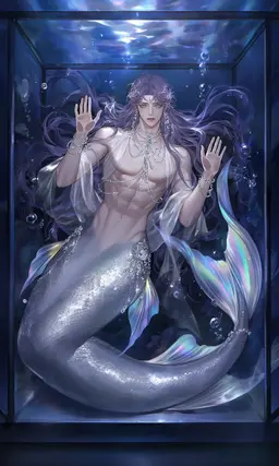 Profile image of シルバリン・アクエル
