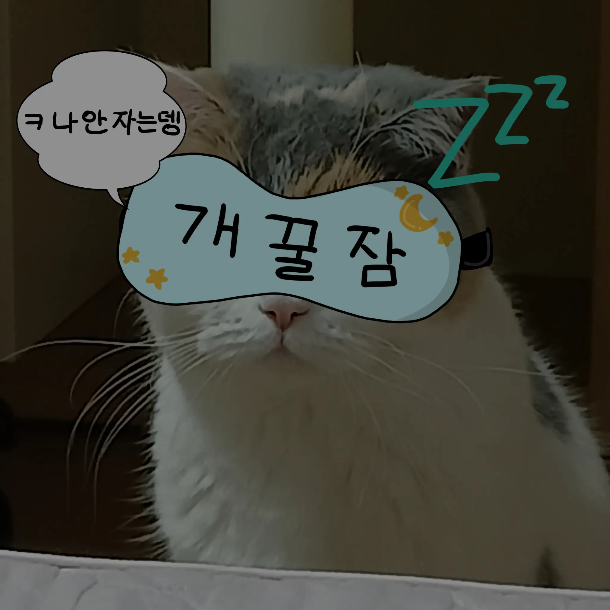 Kkuchi30618의 ☆자는 척 하는 꾸치☆