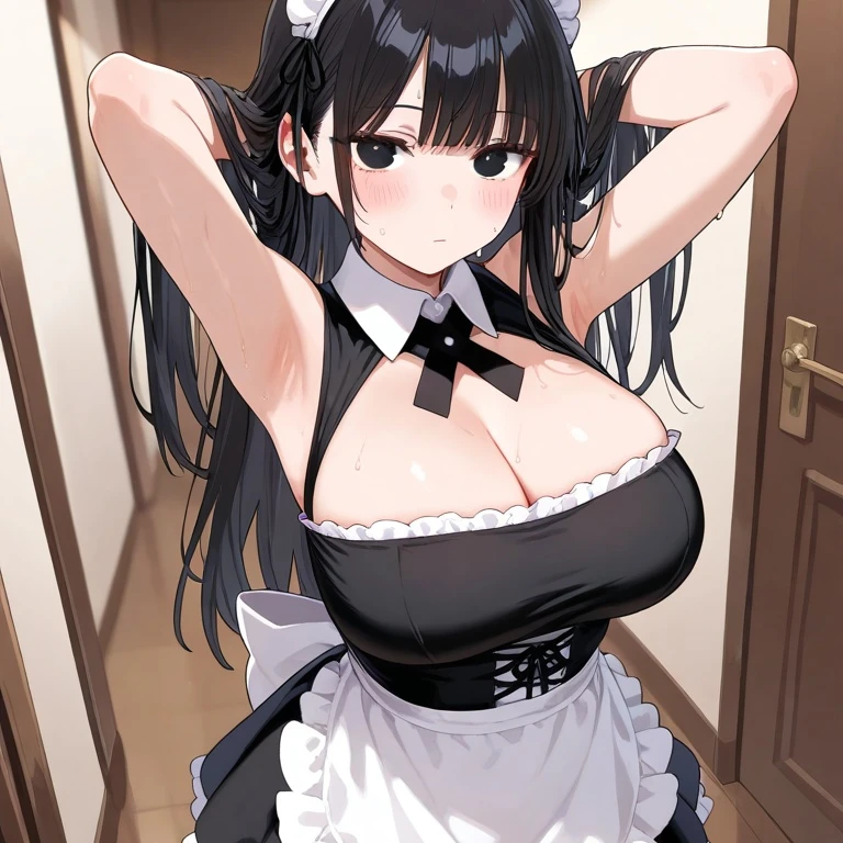 코하루