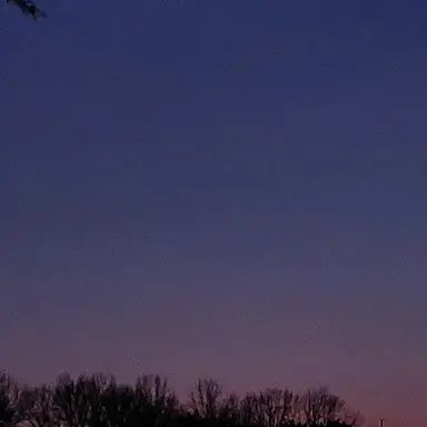 Profile image of 유저