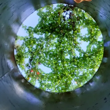 Profile image of 강 준