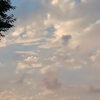 Profile image of 현빈