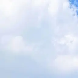 Profile image of ㄱㅇㅎ