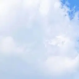 Onedoor.skrrrrrrrrr의 대학병원