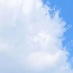 Profile image of ㅁㅈㅎ