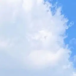 Profile image of ㄱㄷㅎ