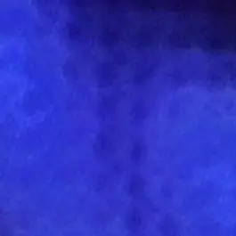 Profile image of 이찬영