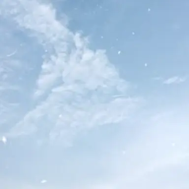 Profile image of 와타나베 쇼타