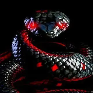 Profile image of イザベル