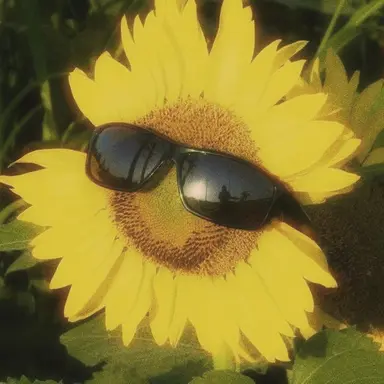 Profile image of Brian