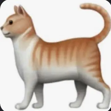 Profile image of Tamaki Fumino