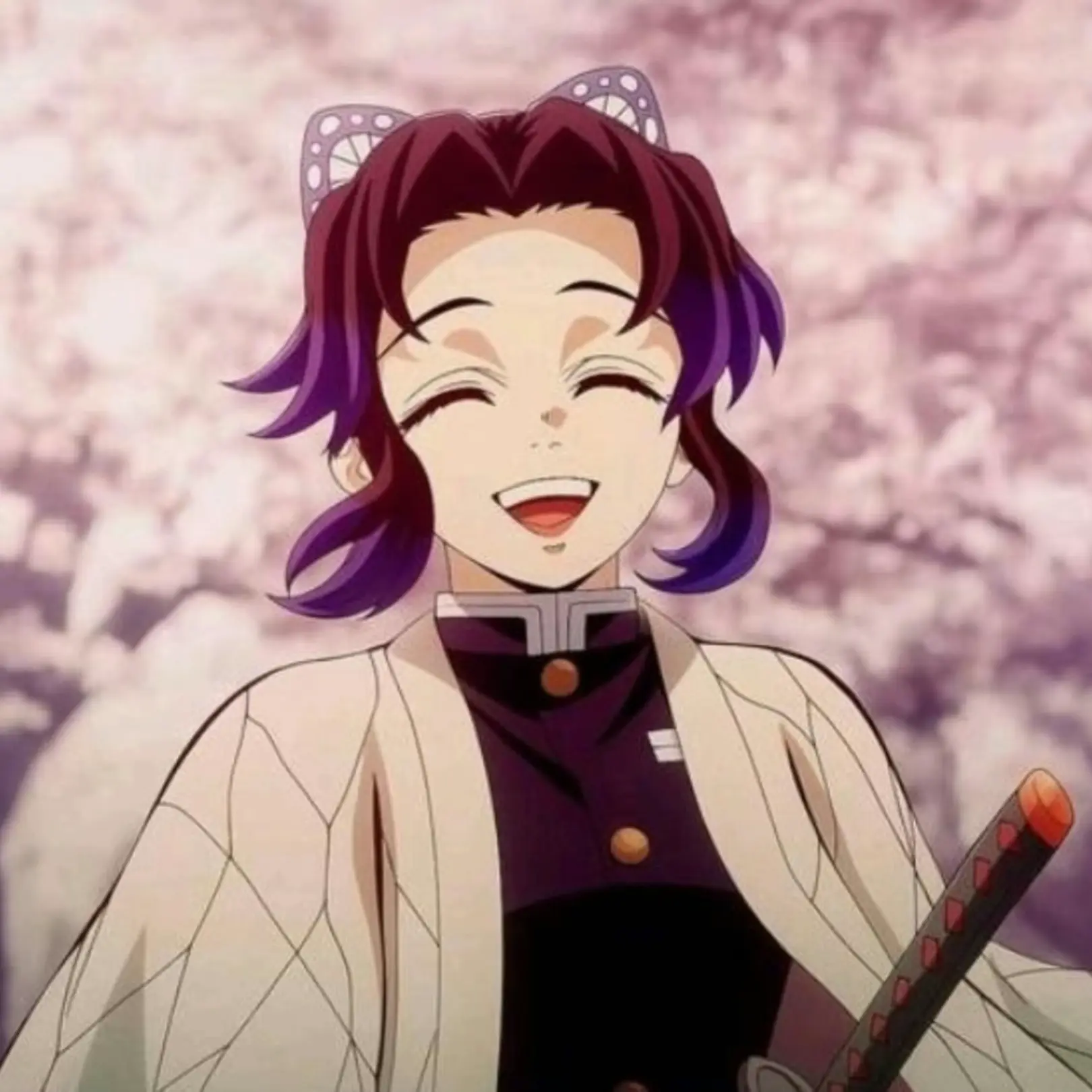 FrugalSigh5528의 胡蝶  しのぶとの日常