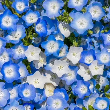 Profile image of 미스터리