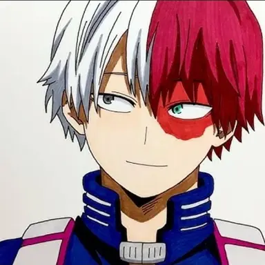 Profile image of Shoto Todoroki