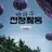 방과후 전쟁 활동