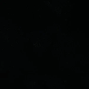 ホー