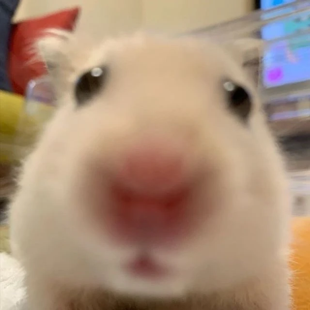 성한빈