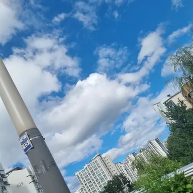 Profile image of 세계관