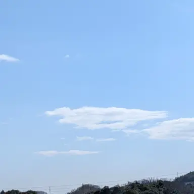 Profile image of せいのすけ