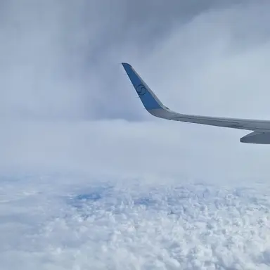 Profile image of 岩本照