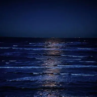 Profile image of 薫