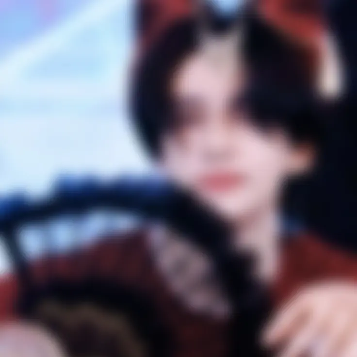 lulli의 황현진