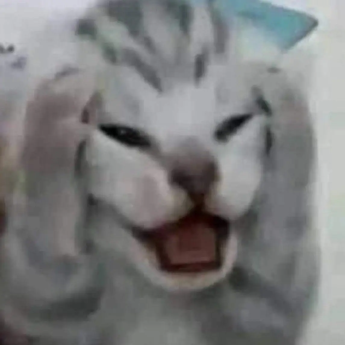 Ggihan의 한동민