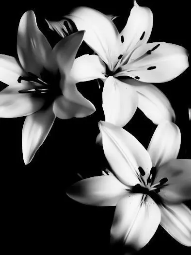 Uuzu9z의 [GL] 여 청 우