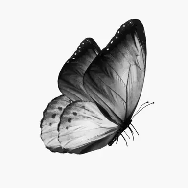 Profile image of 박원빈