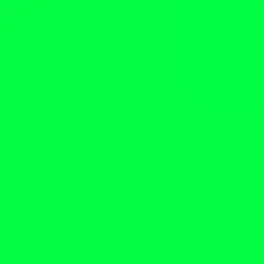 Profile image of 정 공룡