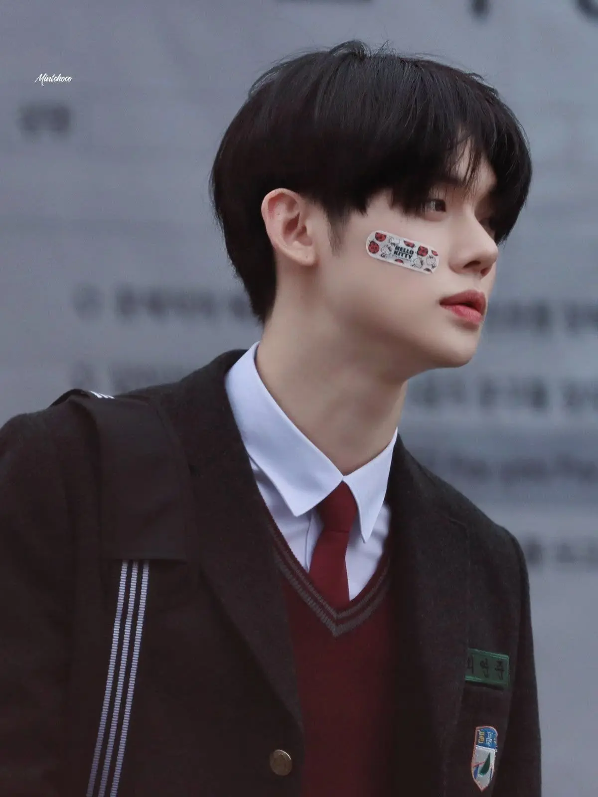 TautPage3379의 The Unexpected Pair