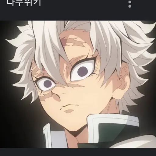 BadRifle2553의 실험체 사네미