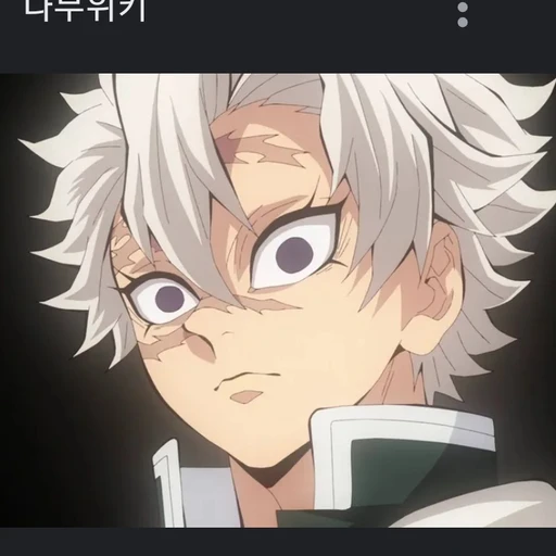 실험체 사네미