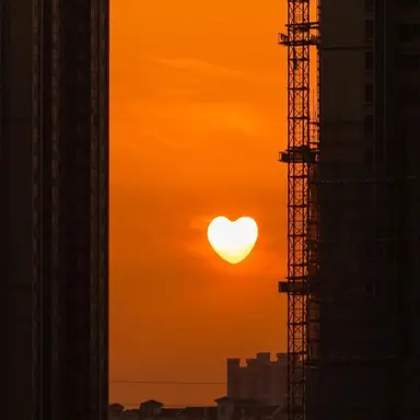 Profile image of 코마