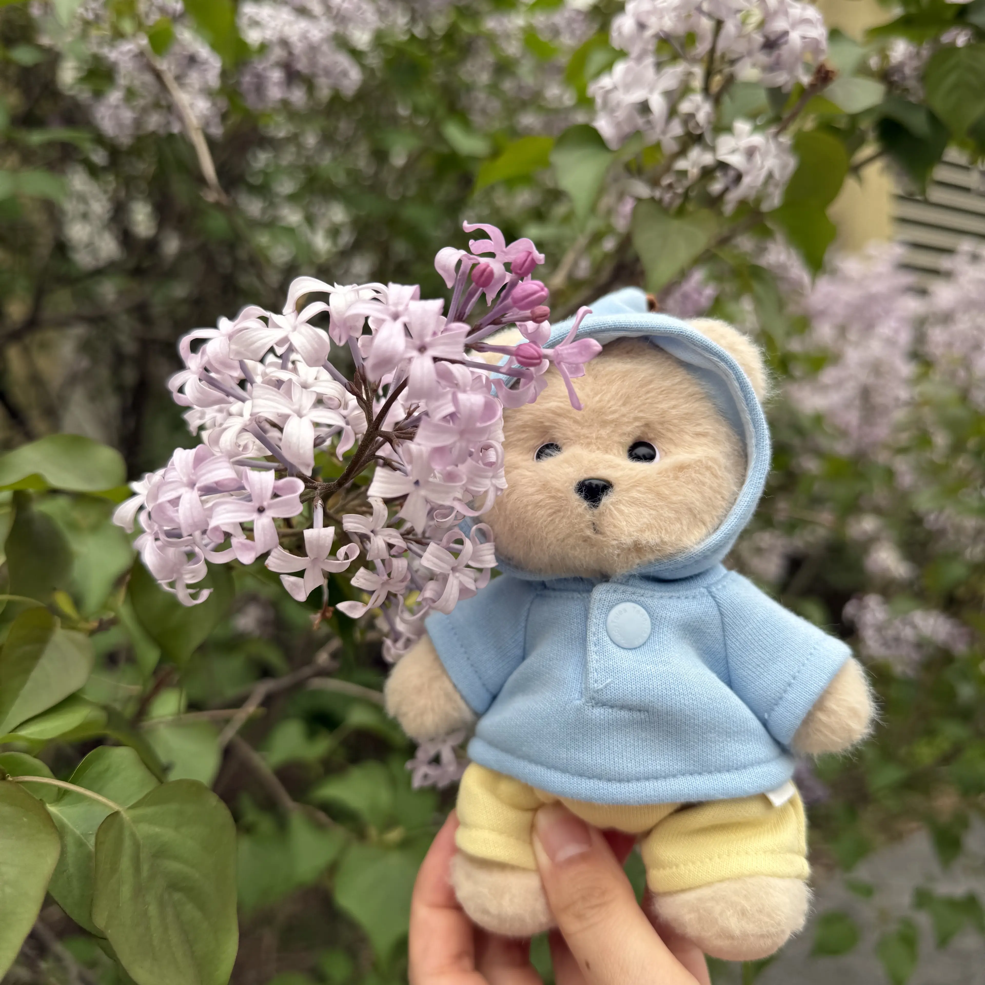 JollySlug8458의 쟈근애기곰
