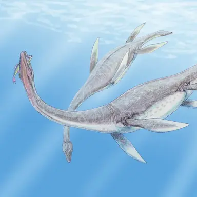 Profile image of 플레시오사우루스