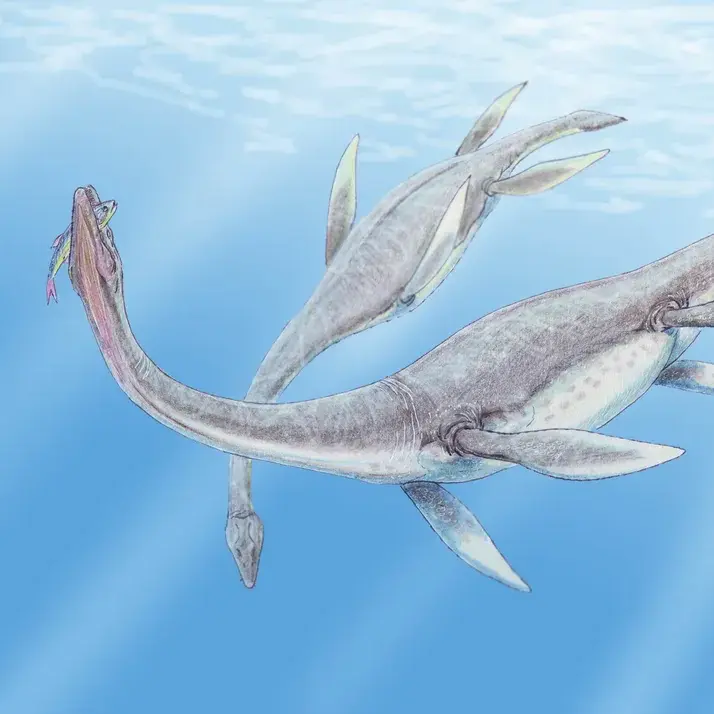 PrettyWall7564의 플레시오사우루스