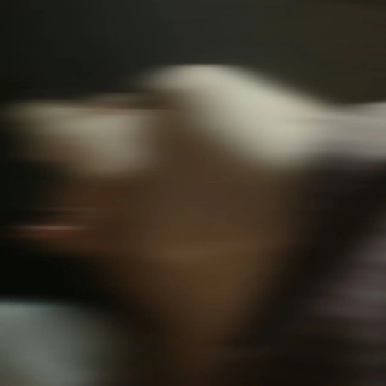 _jxz.el의 松村北斗