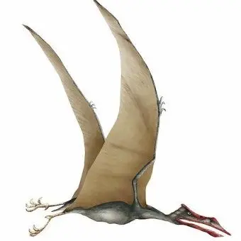Profile image of 악입문 교사진