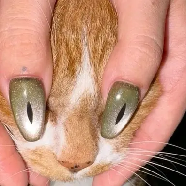 Profile image of 여우